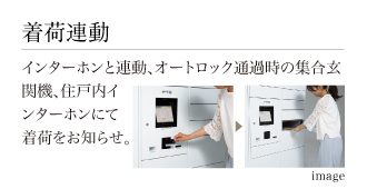 illust