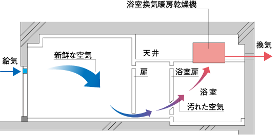 illust